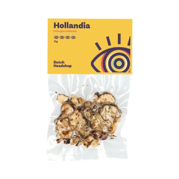 Magic Truffles Hollandia (Private Label)