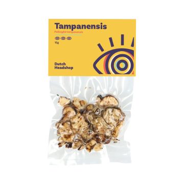 Magic Truffles Tampanensis (Private Label)