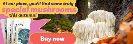 With us, you'll find some truly special mushrooms this autumn.