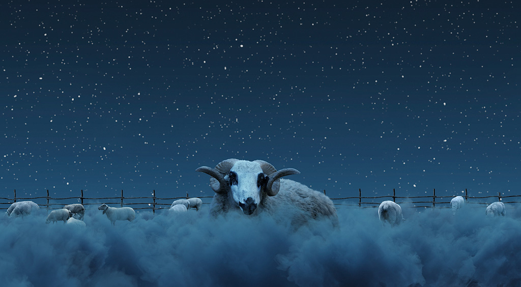 Counting sheep; an image of sheep on a cloud under a starry sky.